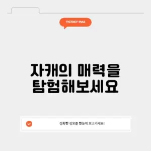 자캐 만들기의 모든 것: 완벽 가이드 알아보기