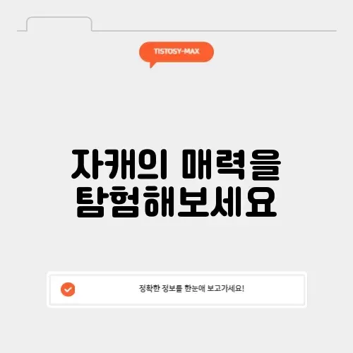 자캐 만들기의 모든 것: 완벽 가이드 알아보기