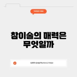 참이술의 모든 것: 완벽 가이드 알아보기