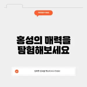 강원도 홍성을 만끽하는 완벽 가이드