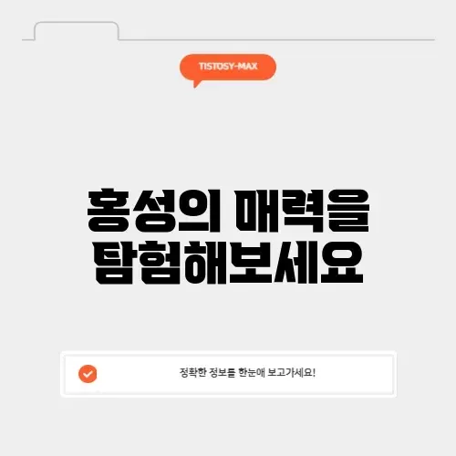 강원도 홍성을 만끽하는 완벽 가이드