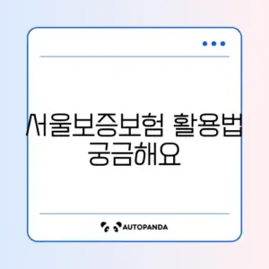 카카오뱅크 비상금대출 거절 시 서울보증보험 해결 방법
