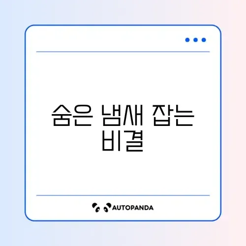 겨울철 빨래 냄새 제거 썸네일