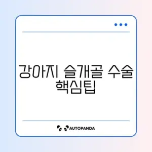 강아지 슬개골 수술 비용과 방법 완벽 정리 가이드