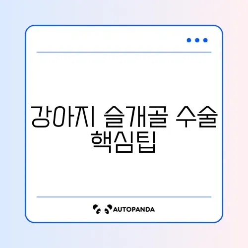 강아지 슬개골 수술 비용과 방법 완벽 정리 가이드 썸네일