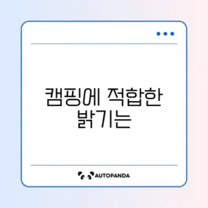캠핑용 빔프로젝터 안시루멘 확인 및 가성비 모델 추천
