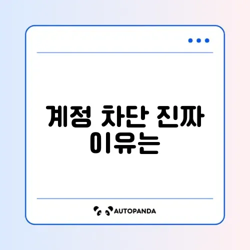 인스타그램 