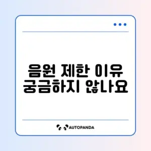 인스타그램 릴스 오디오 사용할 수 없음 (저작권/지역)