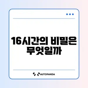 간헐적 단식 16대8 실천법 완벽 가이드 알아보기