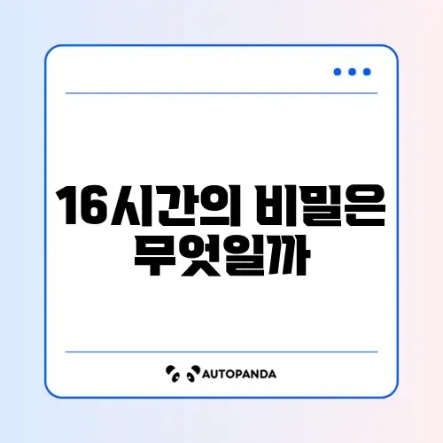 간헐적 단식 16대8 실천법 완벽 가이드 알아보기 썸네일