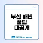 2026 부산 해변 여행 완벽 가이드
