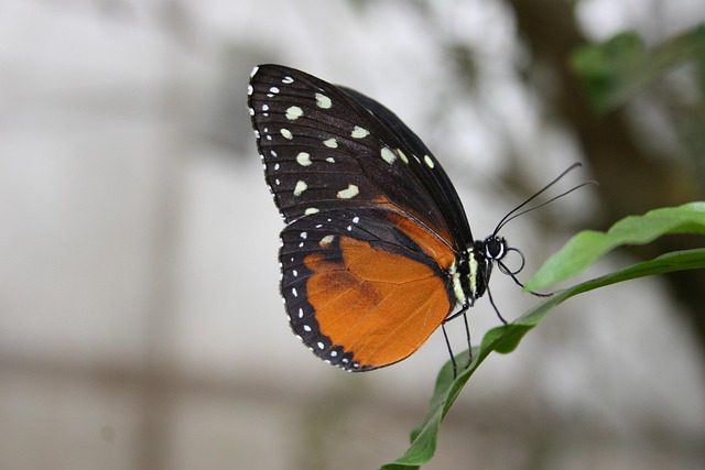 자연스럽게 식욕 억제하는 효과적인 방법 완벽 정리 관련 이미지 1