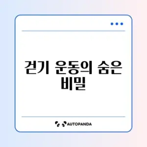 걷기 운동 효과와 하루 적정 걸음 수 완벽 정리