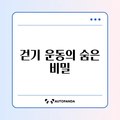 걷기 운동 효과와 하루 적정 걸음 수 완벽 정리 썸네일