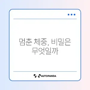 다이어트 정체기 완벽 극복 방법 알아보기