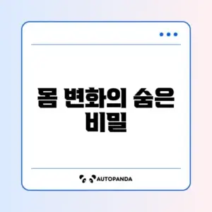 필라테스 효과와 체형 변화 기준 완벽 가이드 알아보기