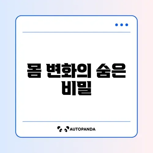 필라테스 효과와 체형 변화 기준 완벽 가이드 알아보기 썸네일