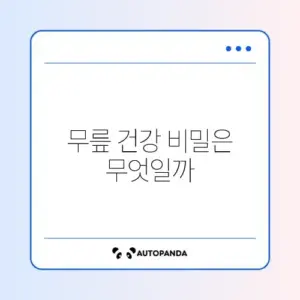 집에서 쉽게 따라하는 무릎 강화 운동 방법 완벽 정리