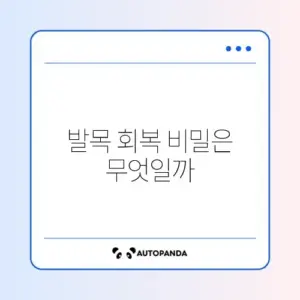 발목 강화 운동과 재활의 기본 완벽 정리 알아보기