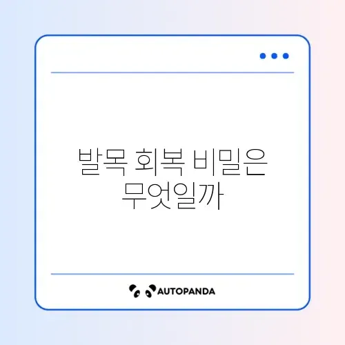 발목 강화 운동과 재활의 기본 완벽 정리 알아보기 썸네일