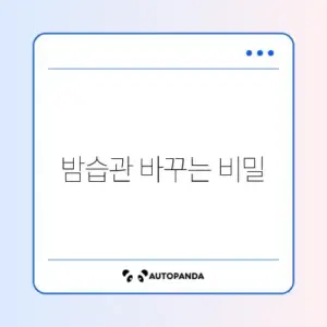 야식 끊는 효과적인 방법과 습관 개선 가이드 알아보기