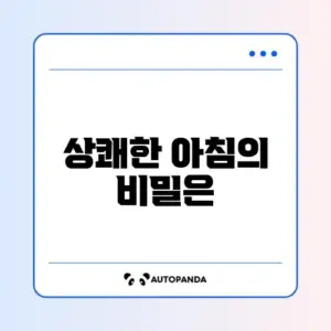 아침 활력 충전! 홈트 스트레칭 루틴 완벽 정리