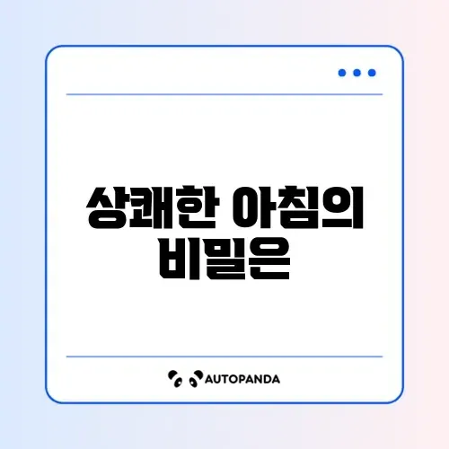아침 활력 충전! 홈트 스트레칭 루틴 완벽 정리 썸네일