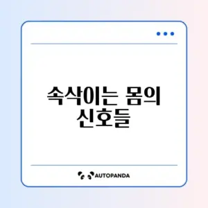 자연스럽게 식욕 억제하는 효과적인 방법 완벽 정리