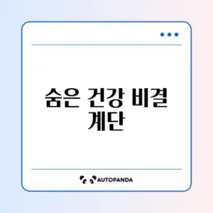 계단 오르기 운동 효과와 칼로리 소모 완벽 정리