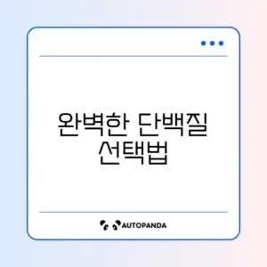 닭가슴살 대체 식품 추천 기준 완벽 가이드 알아보기
