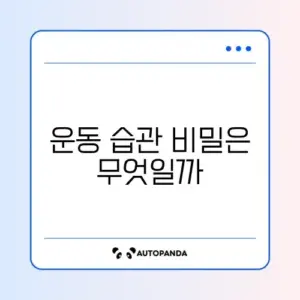 꾸준한 운동 습관 만드는 완벽 가이드 알아보기