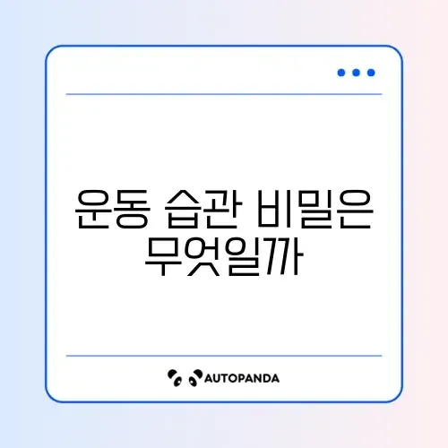 꾸준한 운동 습관 만드는 완벽 가이드 알아보기 썸네일