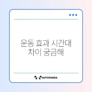 아침 vs 저녁 운동 시간대 완벽 비교 가이드 알아보기
