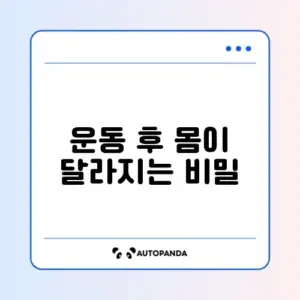 운동 후 꼭 해야 할 스트레칭 방법 완벽 정리