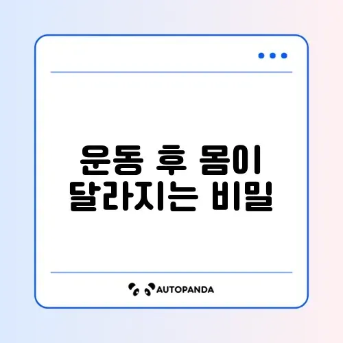 운동 후 꼭 해야 할 스트레칭 방법 완벽 정리 썸네일