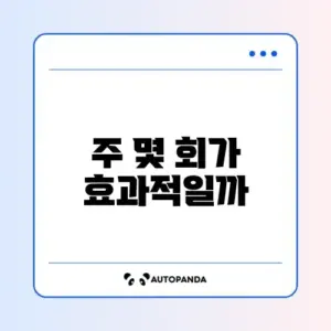 수영 다이어트 효과를 위한 최적의 주 몇 회 방법 알아보기
