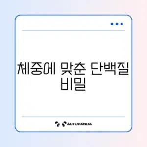 체중별 단백질 섭취량 계산법 완벽 가이드 알아보기