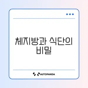 체지방 줄이는 식단 구성 완벽 가이드 알아보기