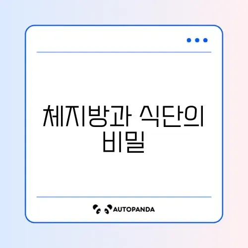 체지방 줄이는 식단 구성 완벽 가이드 알아보기 썸네일