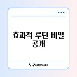 홈트 근력운동 순서 완벽 정리 가이드