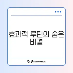 맨몸운동 루틴 주 3회 효과적으로 구성하는 방법 알아보기
